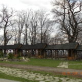DSCN3197