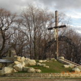 DSCN3239